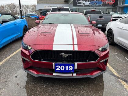 used 2019 Ford Mustang car, priced at $44,995