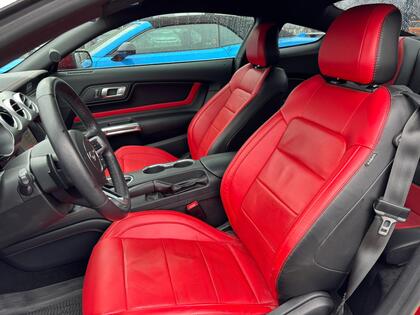 used 2019 Ford Mustang car, priced at $44,995