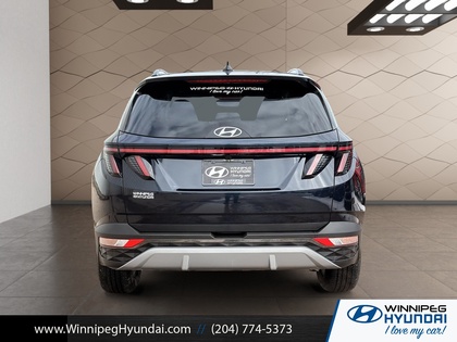 used 2024 Hyundai Tucson car, priced at $31,895