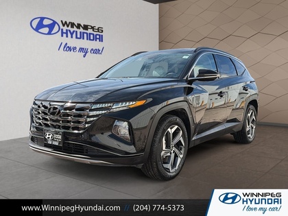 used 2022 Hyundai Tucson Hybrid car, priced at $33,999
