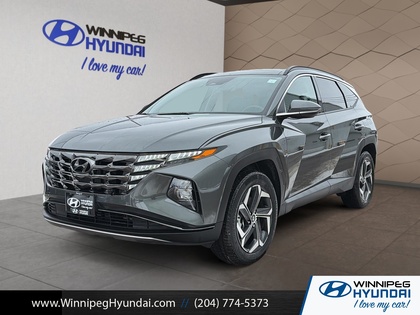 used 2024 Hyundai Tucson Hybrid car, priced at $35,499