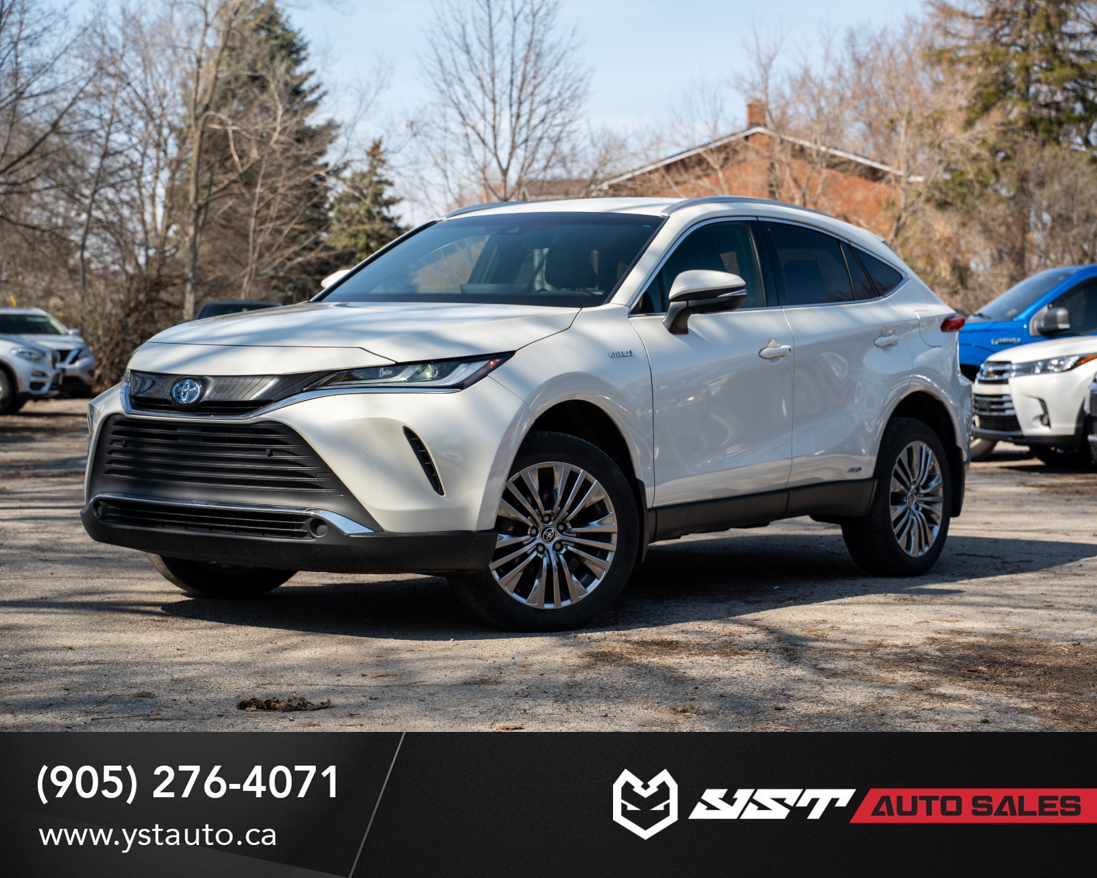2021 Toyota Venza XLE AWD