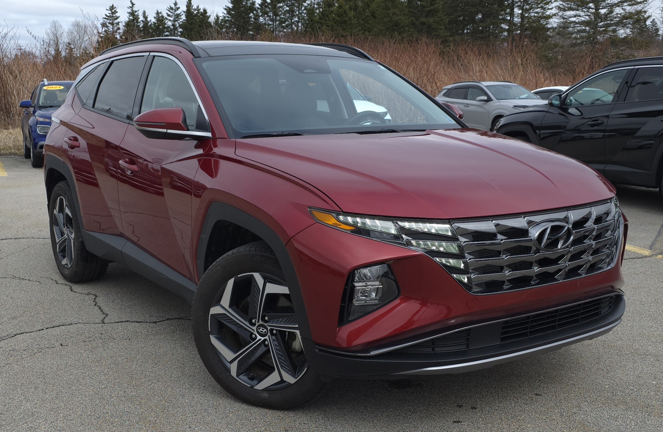 2024 Hyundai Tucson Hybrid Luxury AWD