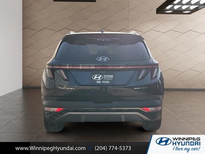 used 2023 Hyundai Tucson Hybrid car, priced at $33,500