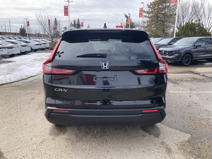 used 2025 Honda CR-V car, priced at $41,900