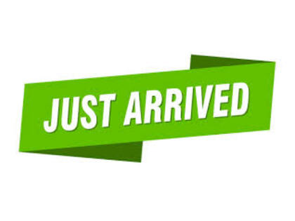 2008 Ford Mustang GT Convertible RWD