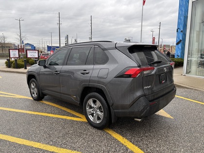 used 2025 Toyota RAV4 car, priced at $43,745