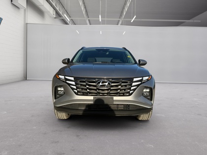 used 2023 Hyundai Tucson car, priced at $27,846