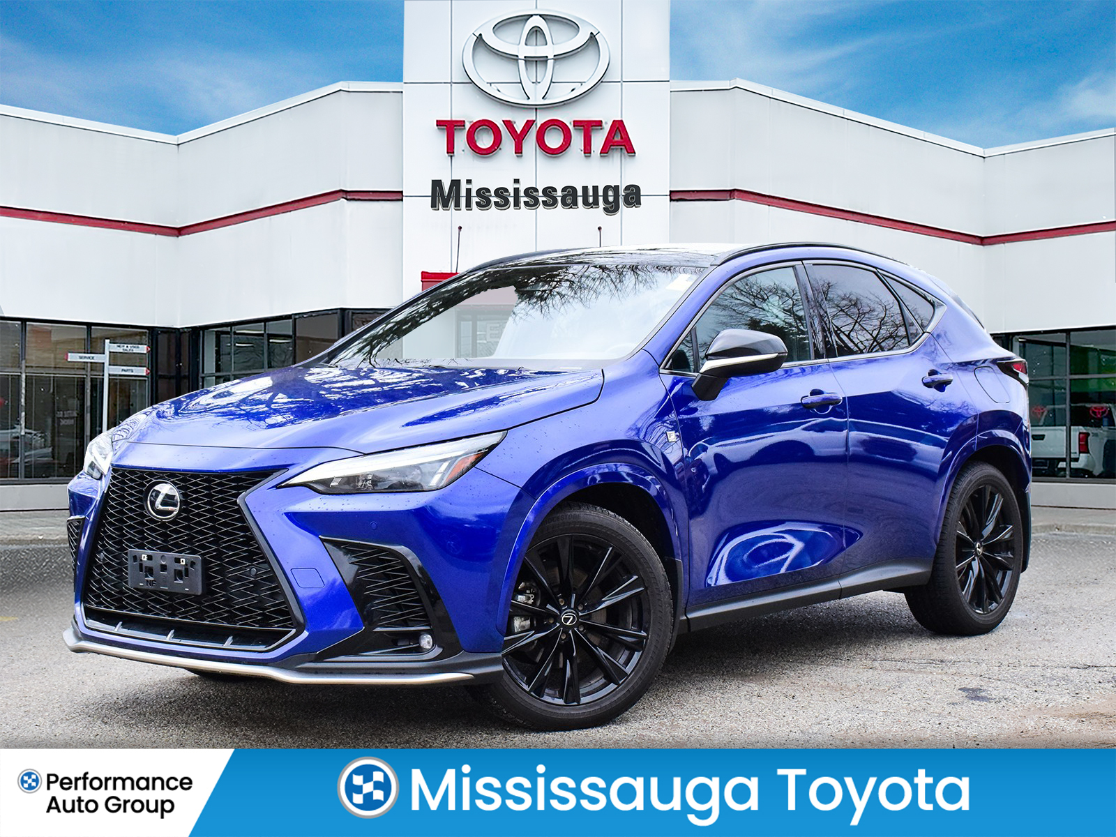 2024 Lexus NX