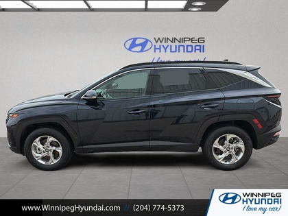 used 2024 Hyundai Tucson car, priced at $31,499
