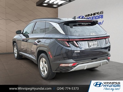 used 2024 Hyundai Tucson car, priced at $31,499
