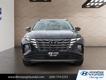 used 2024 Hyundai Tucson car, priced at $31,499
