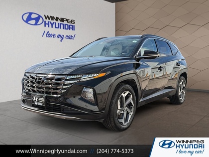 used 2022 Hyundai Tucson Hybrid car, priced at $33,999