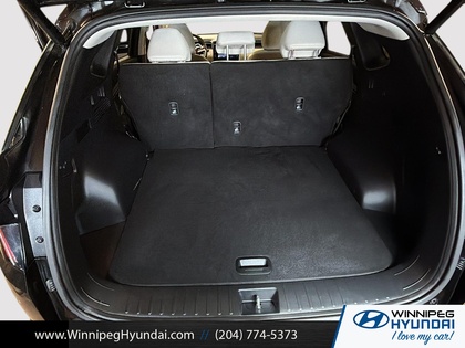 used 2022 Hyundai Tucson Hybrid car, priced at $33,999