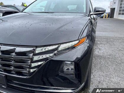 used 2023 Hyundai Tucson car, priced at $26,998