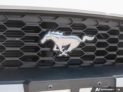 used 2022 Ford Mustang car, priced at $33,661