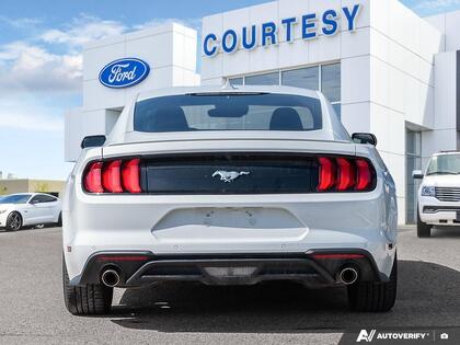 used 2022 Ford Mustang car, priced at $33,661