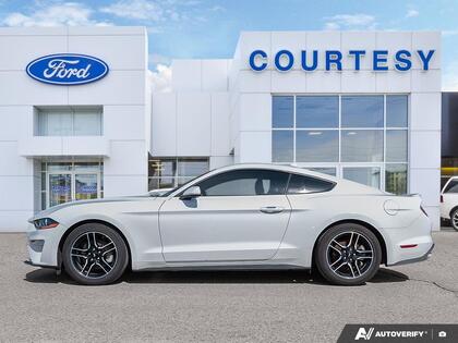 used 2022 Ford Mustang car, priced at $33,661