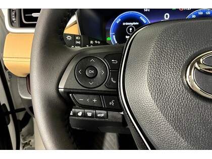 used 2025 Toyota RAV4 car, priced at $55,998