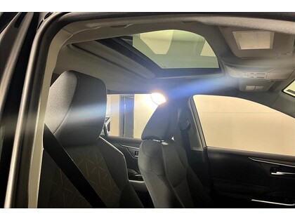 used 2019 Toyota RAV4 car, priced at $32,998