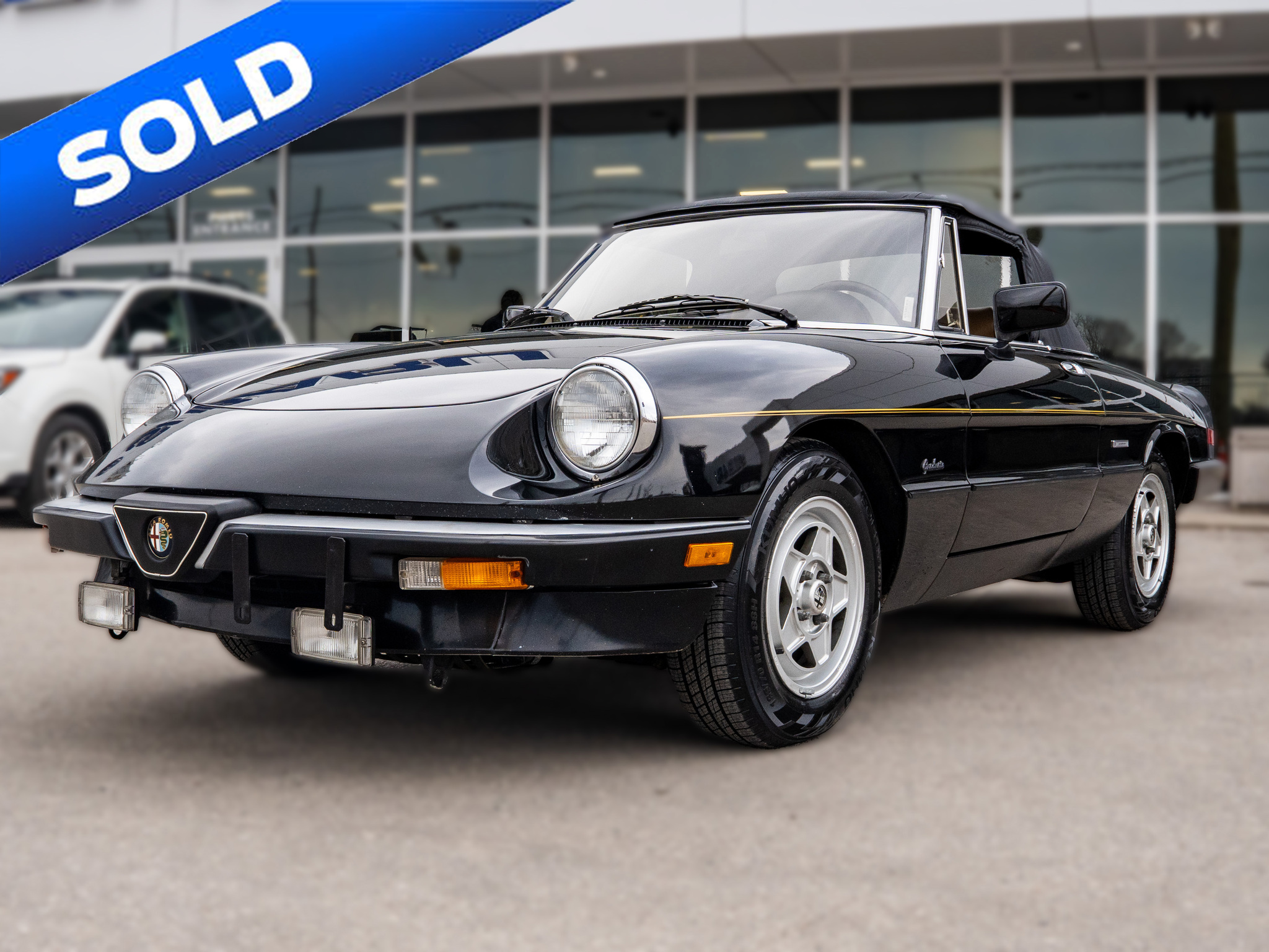 1987 Alfa Romeo Spider