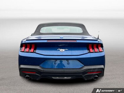 used 2024 Ford Mustang car, priced at $36,800