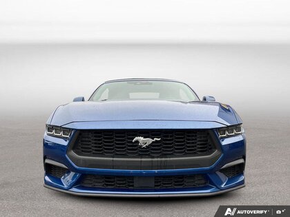 used 2024 Ford Mustang car, priced at $36,800