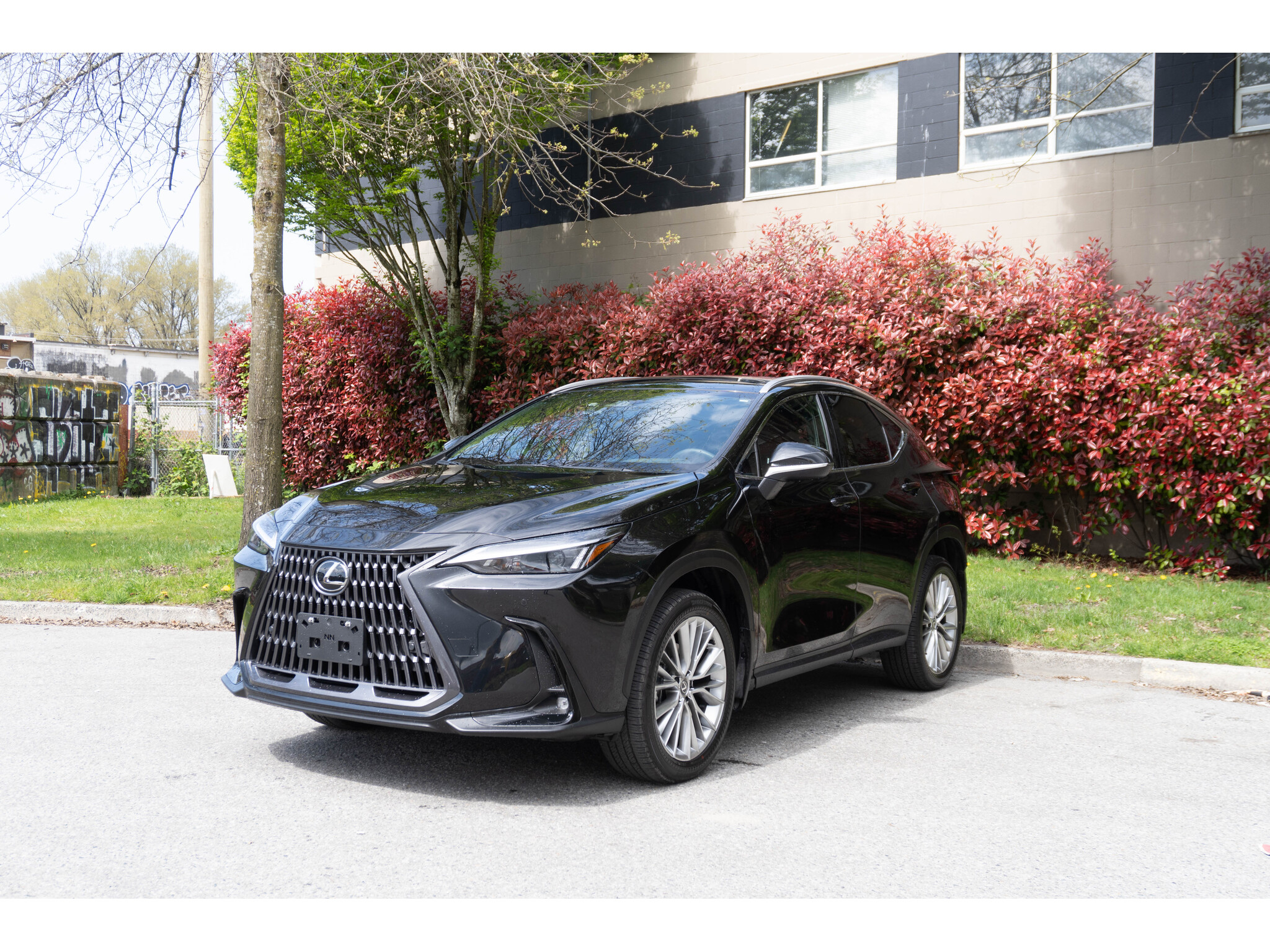 2024 Lexus NX