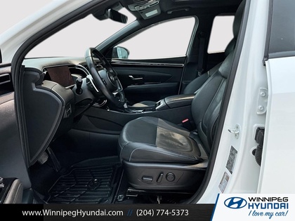 used 2023 Hyundai Santa Cruz car, priced at $33,000