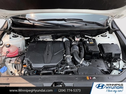 used 2023 Hyundai Santa Cruz car, priced at $33,000