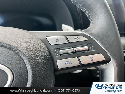 used 2025 Hyundai Palisade car, priced at $52,500