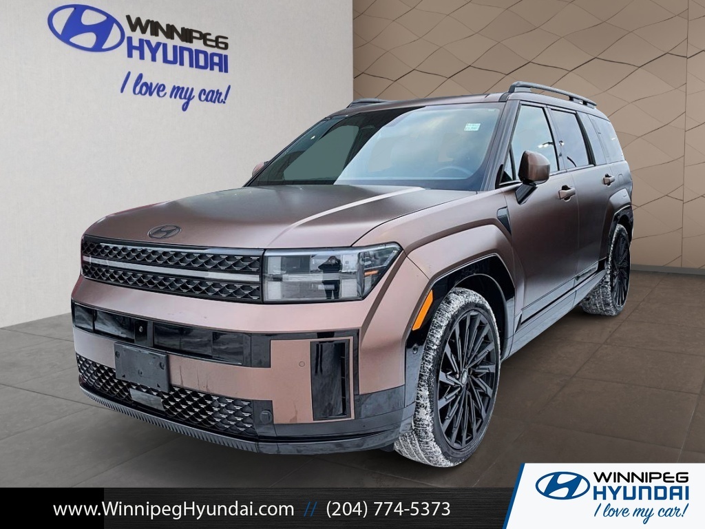 Hyundai Santa Fe Calligraphy AWD 2024