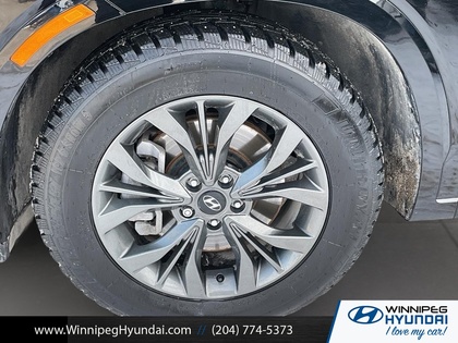 used 2023 Hyundai Palisade car, priced at $48,499