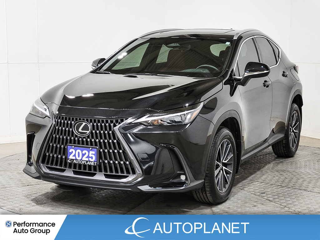 2025 Lexus NX