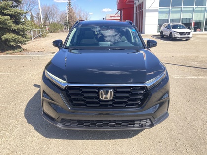 used 2025 Honda CR-V car