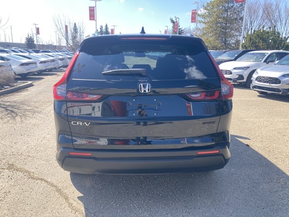 used 2025 Honda CR-V car
