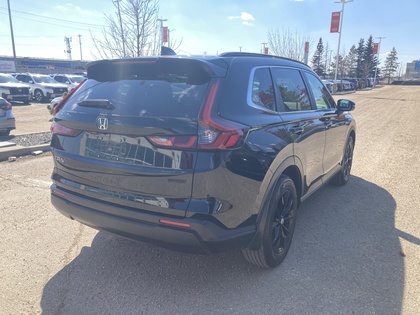 used 2025 Honda CR-V car
