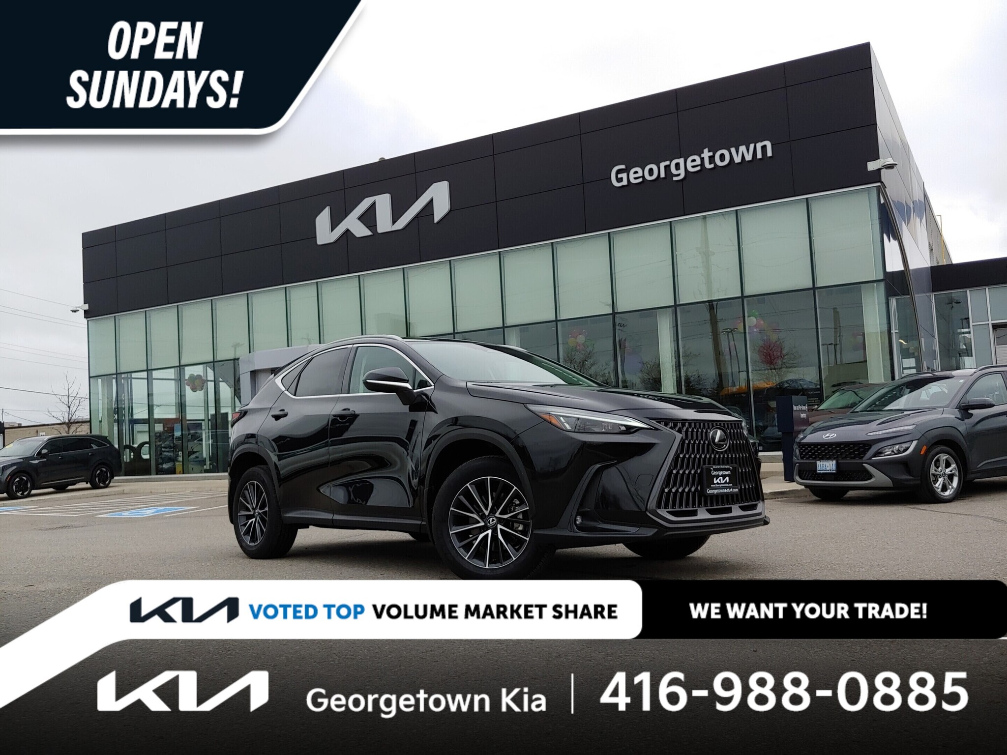 2024 Lexus NX
