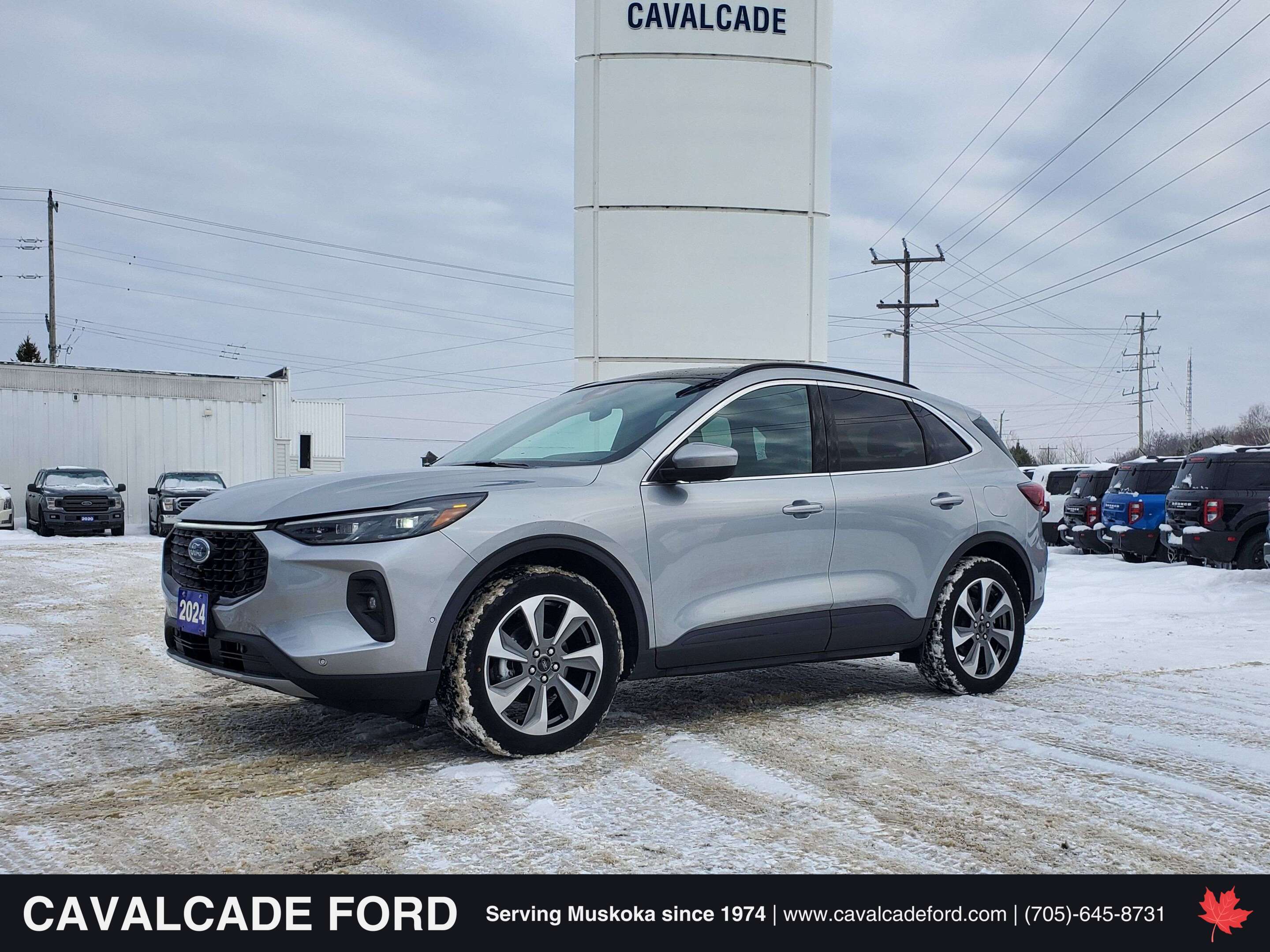 2024 Ford Escape Hybrid Platinum AWD