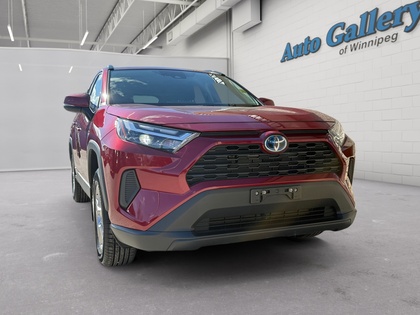 used 2023 Toyota RAV4 car, priced at $43,497