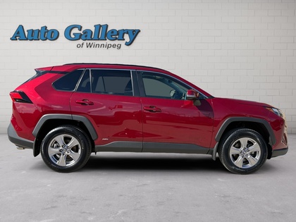 used 2023 Toyota RAV4 car, priced at $43,497