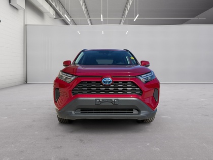 used 2023 Toyota RAV4 car, priced at $43,497