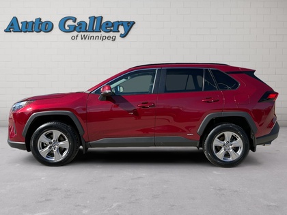 used 2023 Toyota RAV4 car, priced at $43,497