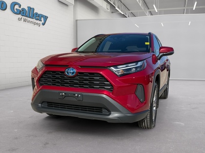 used 2023 Toyota RAV4 car, priced at $42,734