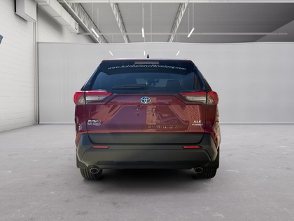 used 2023 Toyota RAV4 car, priced at $43,497