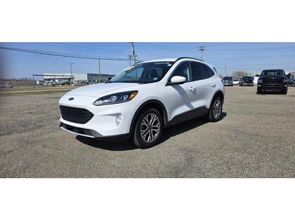 White 2021 Ford Escape SEL AWD SUV / Crossover All-Wheel Drive 8-Speed Automatic