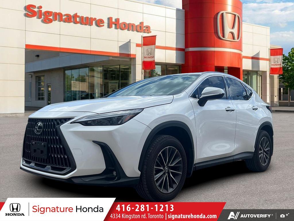 2025 Lexus NX