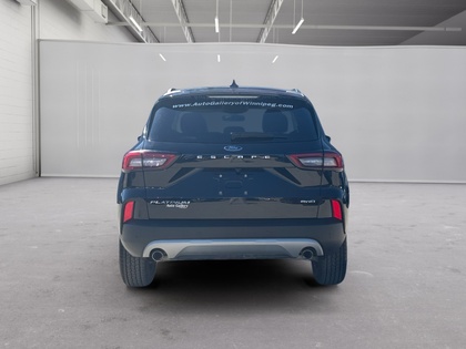 used 2024 Ford Escape car, priced at $29,998