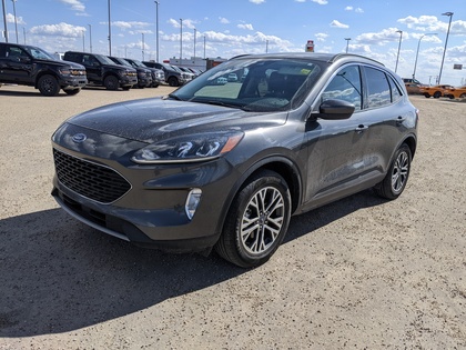 Gray 2020 Ford Escape SUV / Crossover All-Wheel Drive 8-Speed Automatic