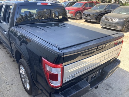 used 2023 Ford F-150 car, priced at $65,900